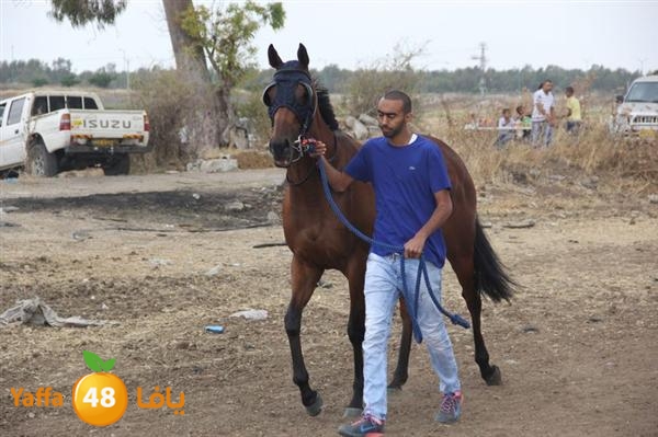 khoyoul lud 0610 (55).JPG